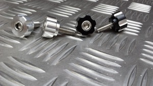 Side Panel Bolt's from Triumph Custom Parts